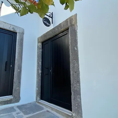 Lima Charming Loft At Arrabida Apartment *