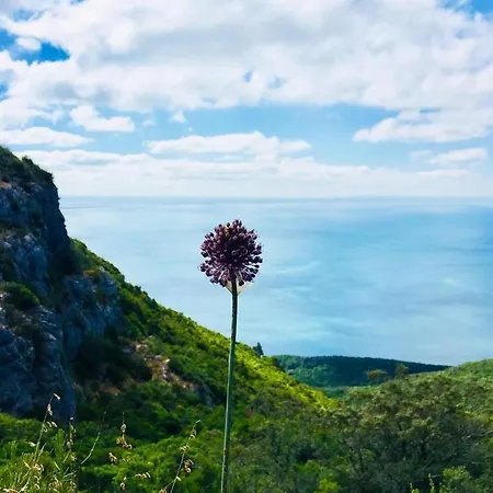 Lima Charming Loft At Arrabida Azeitao